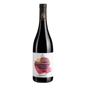 Terra IGP Calabria Rosso di Cantine Benvenuto